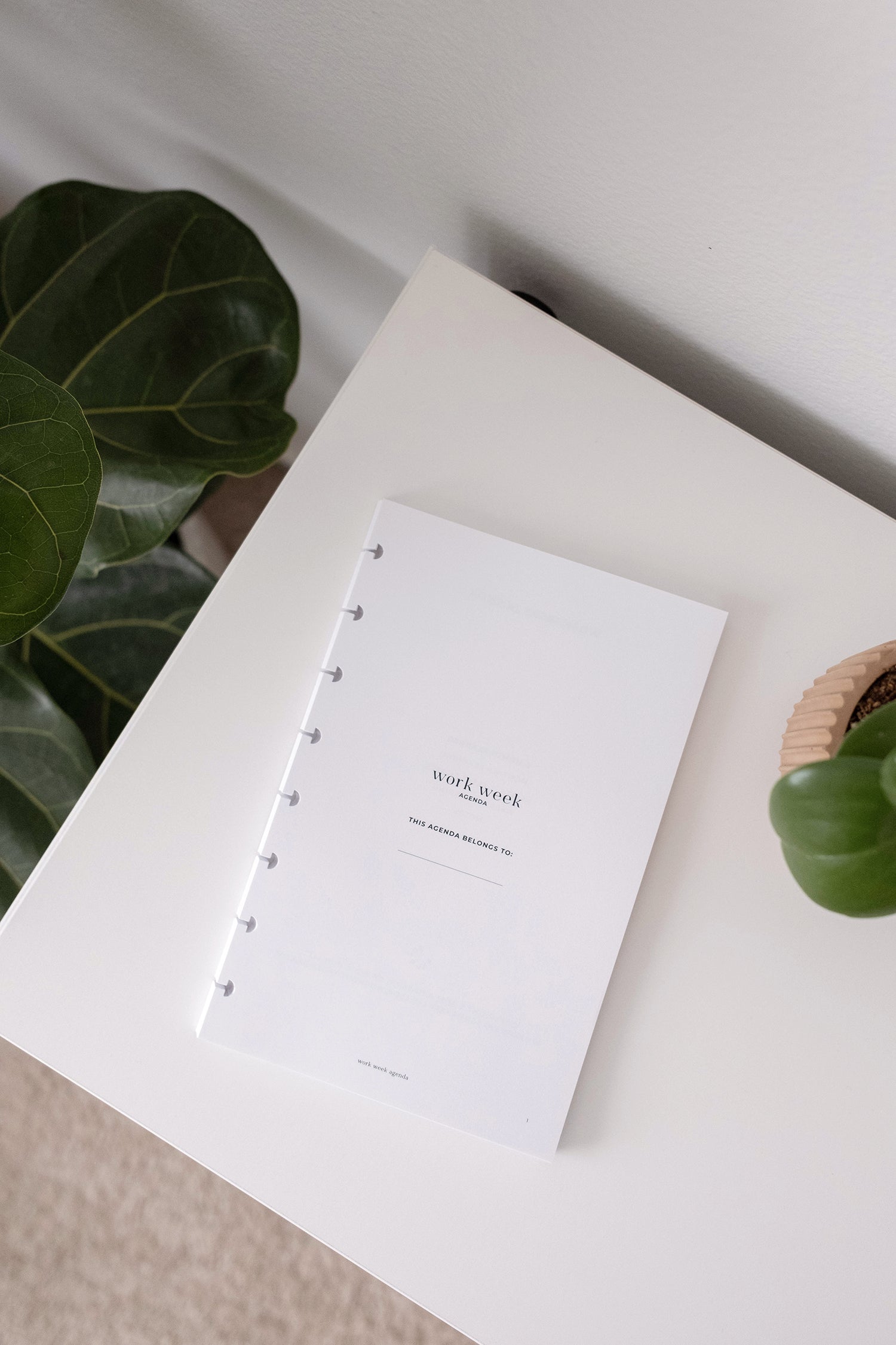 Undated Weekly Planner | Discbound Inserts – Work Week Agenda